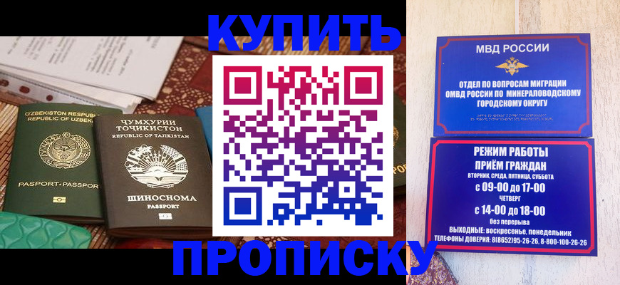 временная прописка в Гатчине